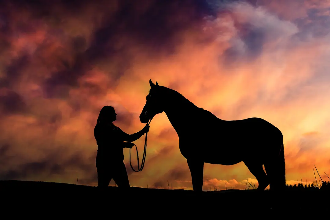 Silhouette of a woman and her horse against a fiery sunset