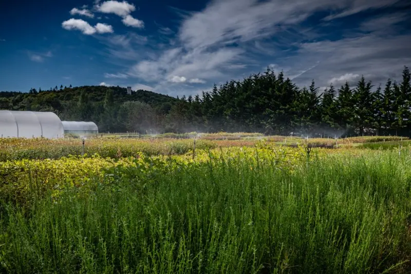 Why Professional Commercial Photography is Essential for Effective Content Marketing