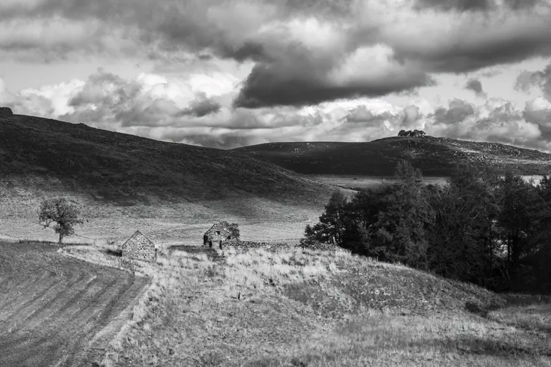 Finding the Light in the Cabrach — photograph 2 by Mike Custer