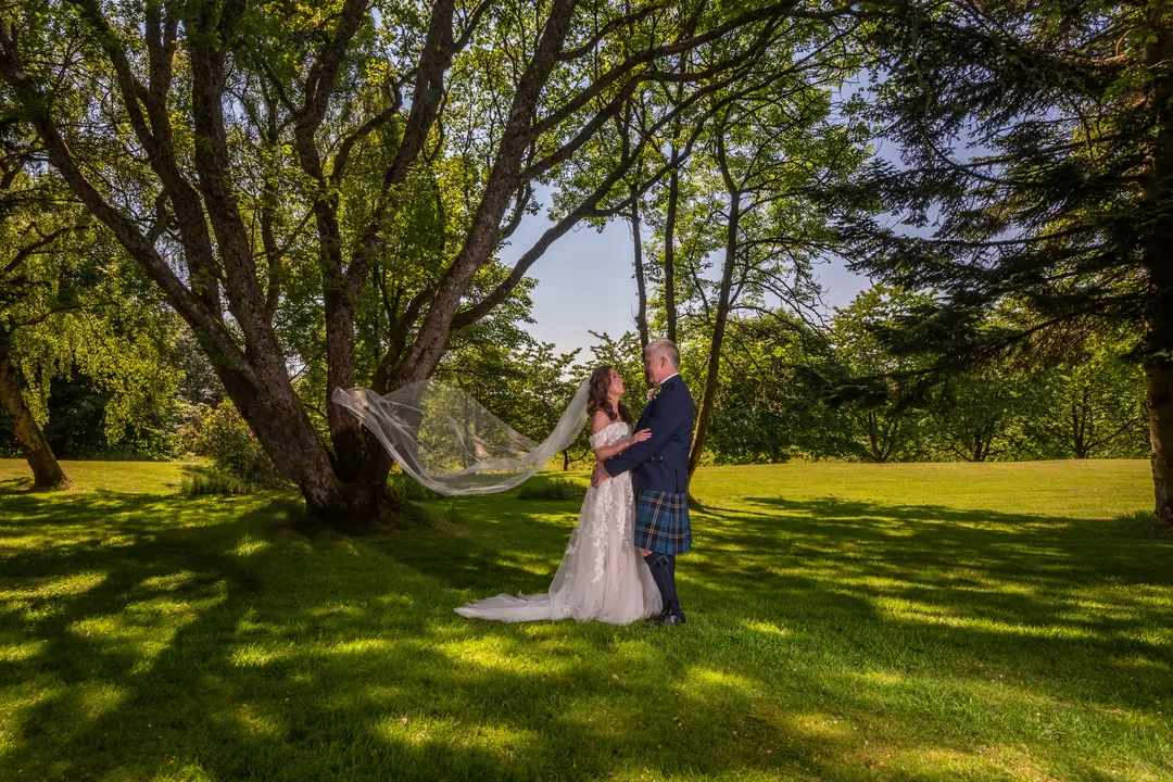 Bride and groom beneath a spreading parkland tree, her veil lifting in the breeze
