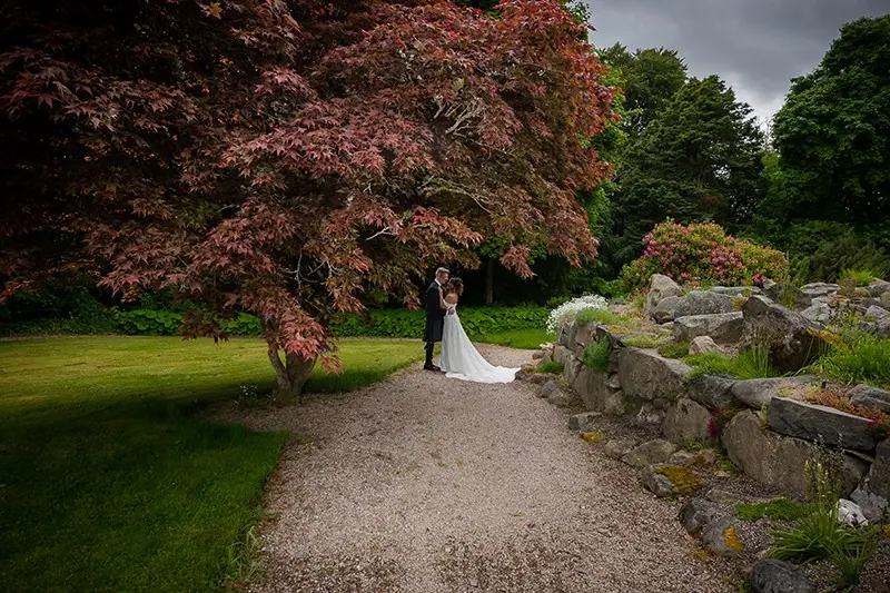 Couple at the end of a path beneath a copper beech